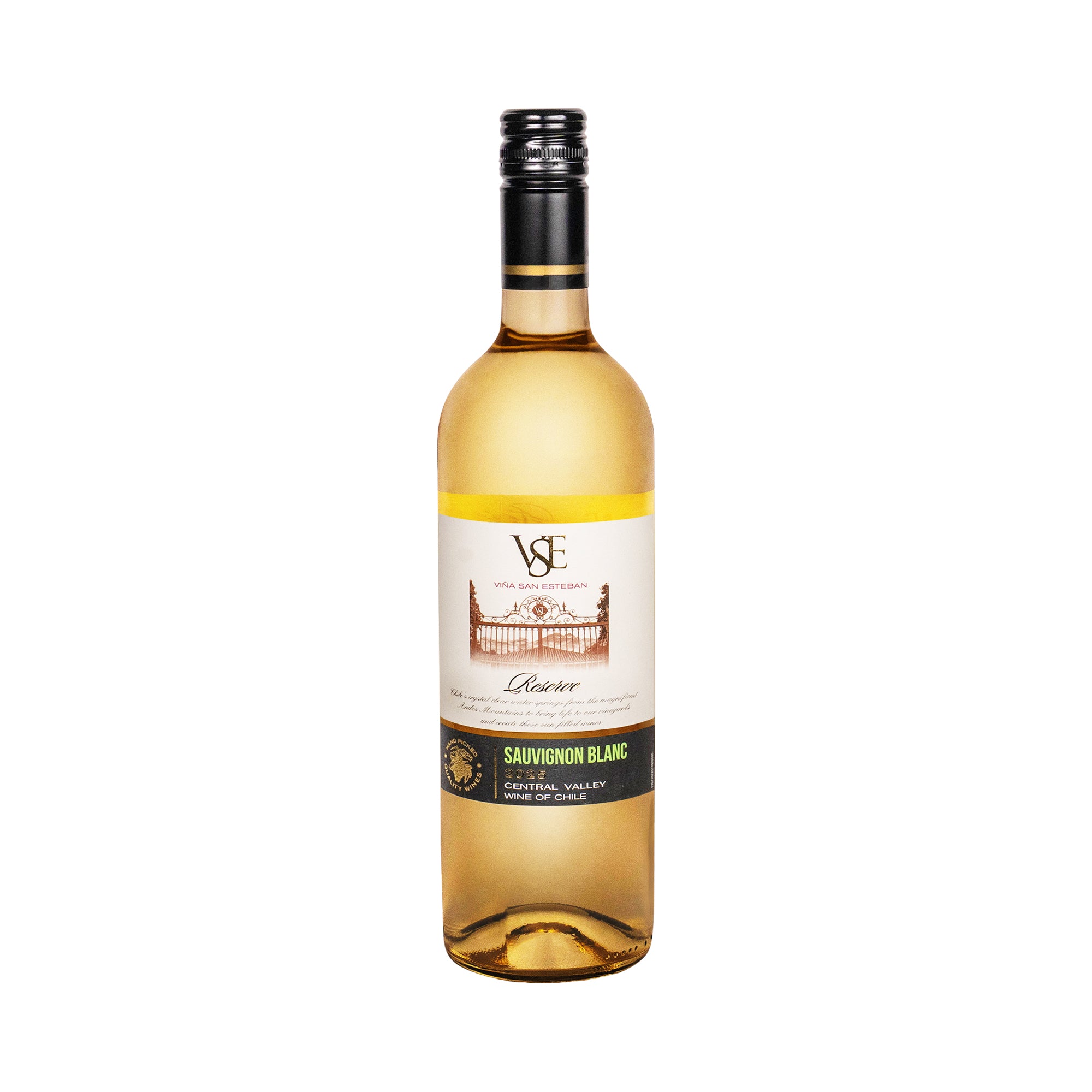 Vina San Esteban Sauvignon Blanc